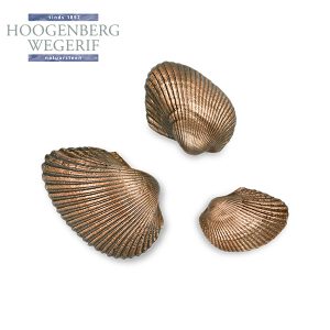 Schelpen brons