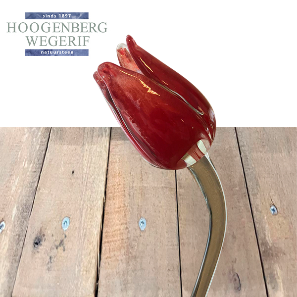 Glazentulp op zwart Granieten sokkel - Afbeelding 2