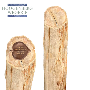 Versteend houtenpaal