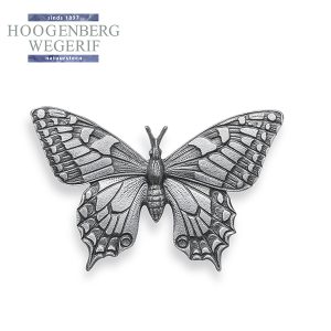 Zwaluwstaart vlinder