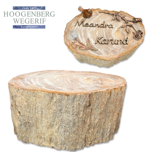 Versteend hout monument