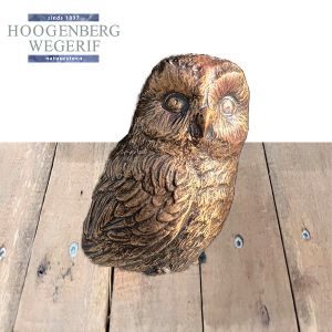 Massief bronzen uil