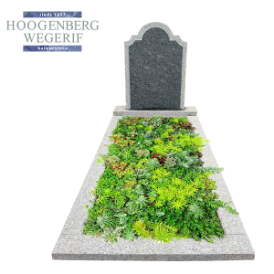 Monument steel grey antico