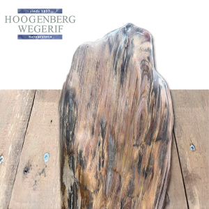 Gepolijst versteend hout