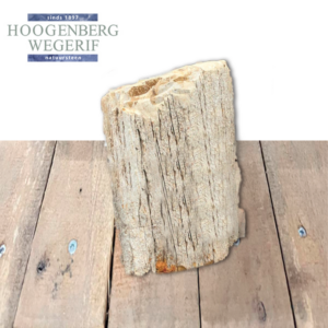 Versteend hout boomstam monument