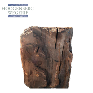 Versteend hout
