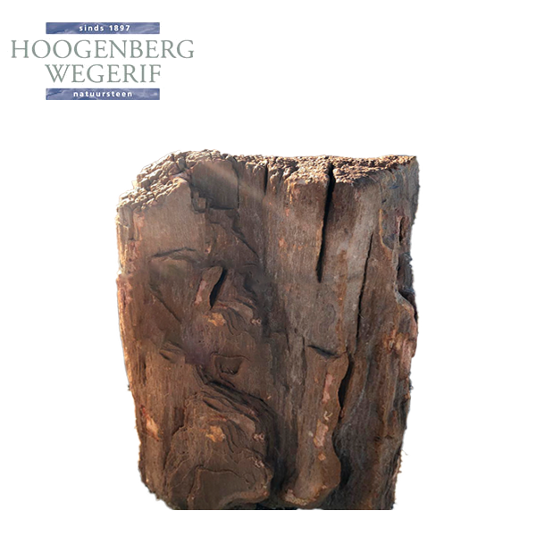 Versteend hout