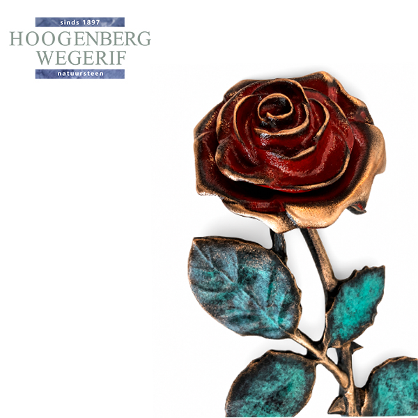 Roos Brons in kleur - Afbeelding 2