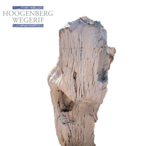 Versteend hout monument