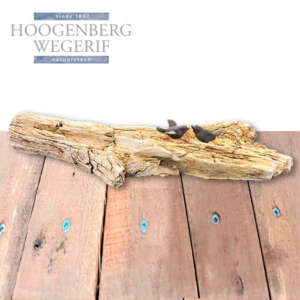 Bronzen vogels als set