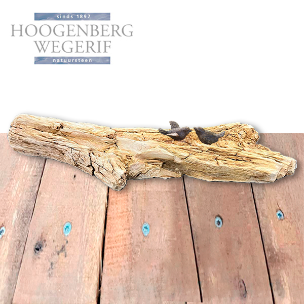 Bronzen vogels als set