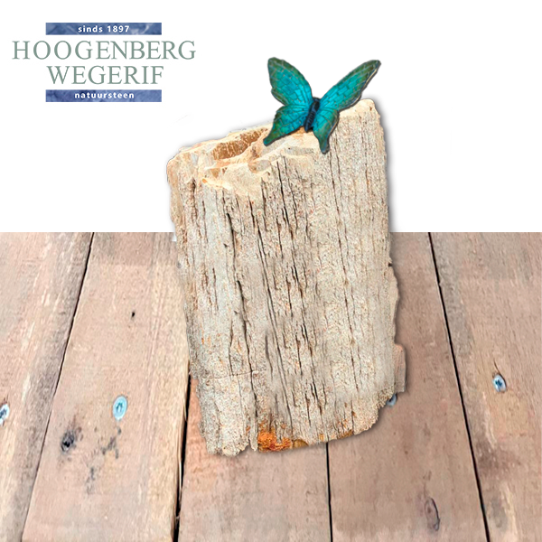 Bronzen vlinder groen/blauw
